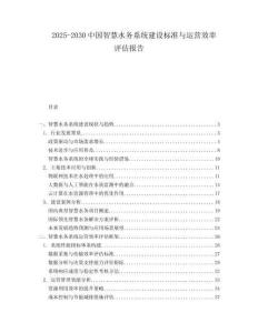 2025-2030中國智慧水務系統建設標準與運營效率評估報告