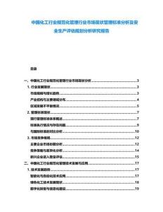 中國化工行業規范化管理行業市場現狀管理標準分析及安全生產評估規劃分析研究報告