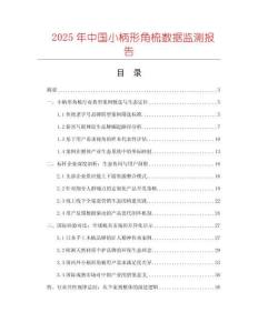 2025年中國小柄形角梳數據監測報告