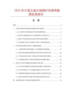 2025年中國無接頭鋼繩環(huán)形索具數(shù)據(jù)監(jiān)測報告