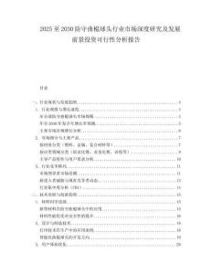 2025至2030防守曲棍球頭行業(yè)市場深度研究及發(fā)展前景投資可行性分析報告