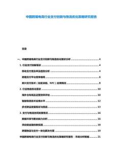 中國(guó)跨境電商行業(yè)支付創(chuàng)新與物流優(yōu)化策略研究報(bào)告