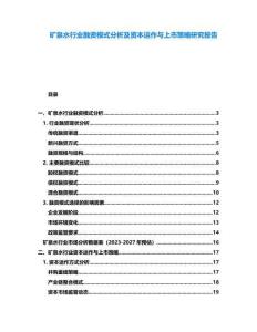 礦泉水行業(yè)融資模式分析及資本運(yùn)作與上市策略研究報告