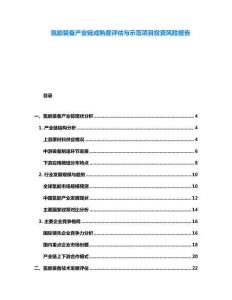 氫能裝備產業鏈成熟度評估與示范項目投資風險報告