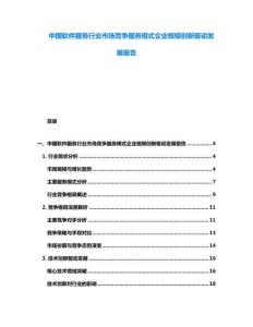 中國軟件服務(wù)行業(yè)市場競爭服務(wù)模式企業(yè)規(guī)模創(chuàng)新驅(qū)動發(fā)展報告