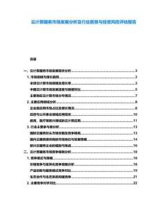 云計(jì)算服務(wù)市場發(fā)展分析及行業(yè)前景與投資風(fēng)險(xiǎn)評估報(bào)告