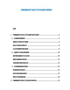 中國(guó)藍(lán)晶石礦選冶工藝與設(shè)備升級(jí)報(bào)告