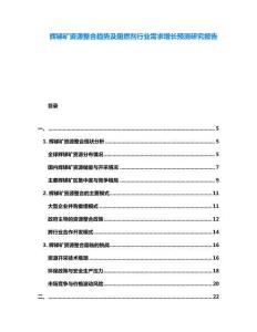 輝銻礦資源整合趨勢(shì)及阻燃劑行業(yè)需求增長(zhǎng)預(yù)測(cè)研究報(bào)告