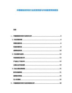 中國螺旋槳系統行業投資回報與市場前景預測報告