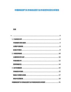 中國新能源汽車充電樁運(yùn)營行業(yè)市場(chǎng)競爭投資分析報(bào)告