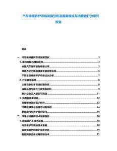 汽車維修養(yǎng)護(hù)市場(chǎng)發(fā)展分析及服務(wù)模式與消費(fèi)者行為研究報(bào)告