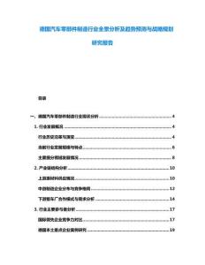 德國(guó)汽車零部件制造行業(yè)全景分析及趨勢(shì)預(yù)測(cè)與戰(zhàn)略規(guī)劃研究報(bào)告