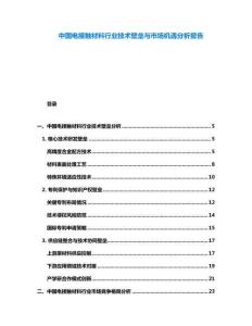 中國電接觸材料行業(yè)技術(shù)壁壘與市場機遇分析報告