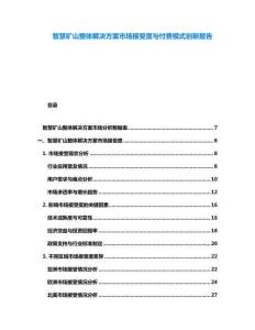 智慧礦山整體解決方案市場接受度與付費模式創(chuàng)新報告
