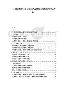 中國光刻膠化學品特種產(chǎn)品研發(fā)與高附加值市場開拓