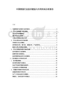 中國滑套行業(yè)技術(shù)壁壘與專利布局分析報告