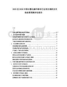 2025至2030中國石墨化碳纖維布行業(yè)項目調(diào)研及市場前景預測評估報告