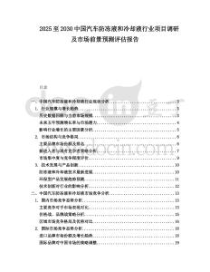 2025至2030中國(guó)汽車防凍液和冷卻液行業(yè)項(xiàng)目調(diào)研及市場(chǎng)前景預(yù)測(cè)評(píng)估報(bào)告