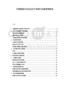 中國(guó)滑套行業(yè)安全生產(chǎn)標(biāo)準(zhǔn)與風(fēng)險(xiǎn)管理報(bào)告