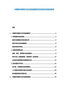 中國軟件服務(wù)行業(yè)市場發(fā)展現(xiàn)狀及投資評估規(guī)劃報告