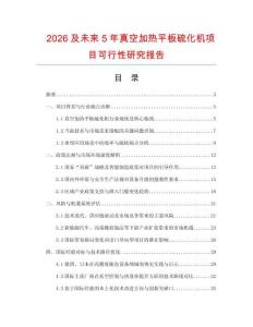 2026及未來5年真空加熱平板硫化機(jī)項(xiàng)目可行性研究報(bào)告