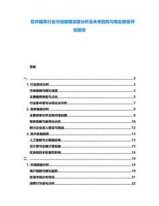 軟件服務(wù)行業(yè)市場規(guī)模深度分析及未來趨勢與商業(yè)前景評估報告