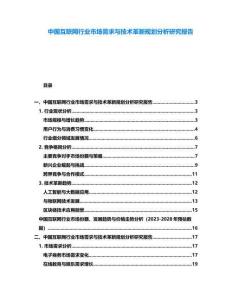 中國(guó)互聯(lián)網(wǎng)行業(yè)市場(chǎng)需求與技術(shù)革新規(guī)劃分析研究報(bào)告