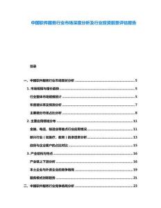 中國(guó)軟件服務(wù)行業(yè)市場(chǎng)深度分析及行業(yè)投資前景評(píng)估報(bào)告