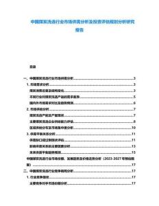 中國煤炭洗選行業市場供需分析及投資評估規劃分析研究報告