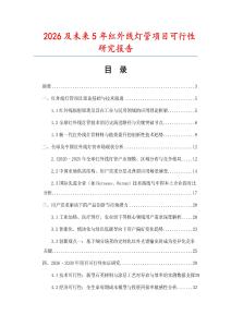2026及未來5年紅外線燈管項目可行性研究報告