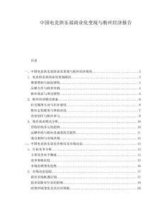 中國電競(jìng)俱樂部商業(yè)化變現(xiàn)與粉絲經(jīng)濟(jì)報(bào)告