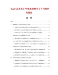 2026及未來5年碳素漁桿項目可行性研究報告