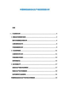 中國(guó)辣椒油自動(dòng)化生產(chǎn)線投資回報(bào)分析