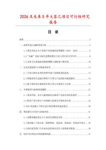 2026及未来5年大茶几项目可行性研究报告