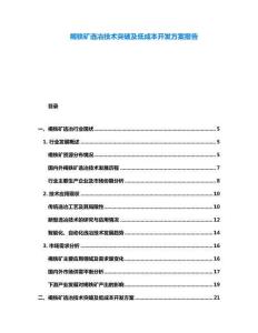 褐铁矿选冶技术突破及低成本开发方案报告