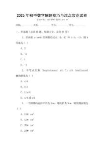 2025年初中數(shù)學(xué)解題技巧與難點(diǎn)攻克試卷