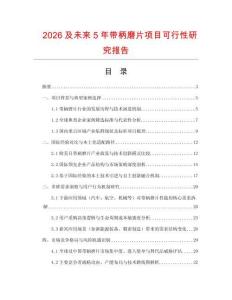 2026及未來5年帶柄磨片項目可行性研究報告