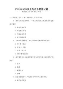 2025年城市安全與應(yīng)急管理試題