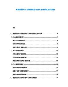 電接觸材料行業(yè)融資渠道與資本運作模式研究報告