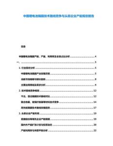 中國鋰電池隔膜技術(shù)路線競爭與頭部企業(yè)產(chǎn)能規(guī)劃報告