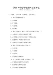 2025年審計(jì)學(xué)原理與應(yīng)用考試