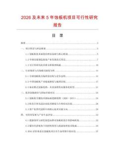 2026及未來5年蝕板機項目可行性研究報告