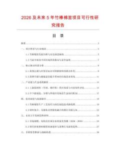 2026及未來5年竹棒棉簽項目可行性研究報告