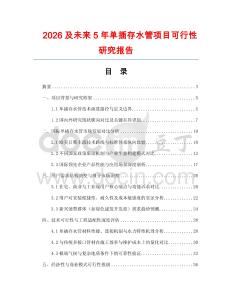 2026及未來5年單插存水管項目可行性研究報告