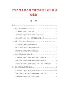 2026及未來5年工模皮紋項目可行性研究報告