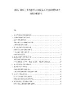 2025-2030自主駕駛行業市場發展現狀及投資評估規劃分析報告