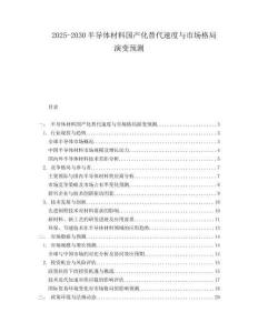 2025-2030半導體材料國產(chǎn)化替代速度與市場格局演變預測