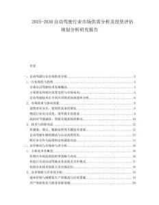 2025-2030自動駕駛行業市場供需分析及投資評估規劃分析研究報告