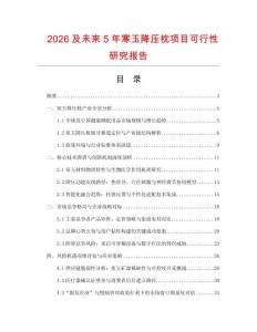 2026及未來5年寒玉降壓枕項目可行性研究報告