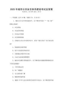 2025年城市公共安全體系建設(shè)考試及答案
